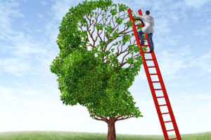 Neurobiologie_Phantasiereisen